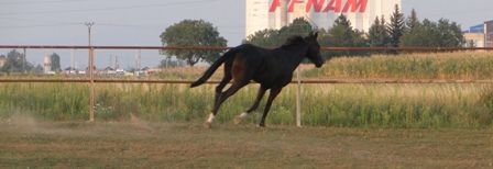 DSC01460.JPG