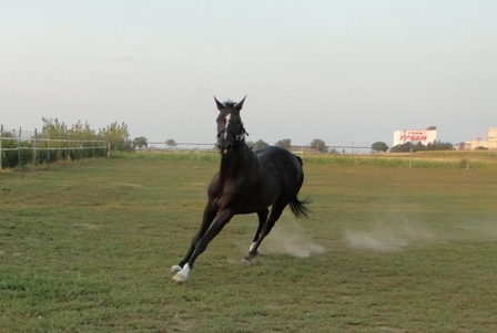 DSC01461.JPG
