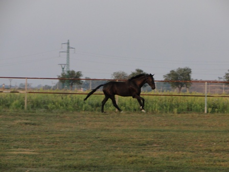 DSC01463.JPG