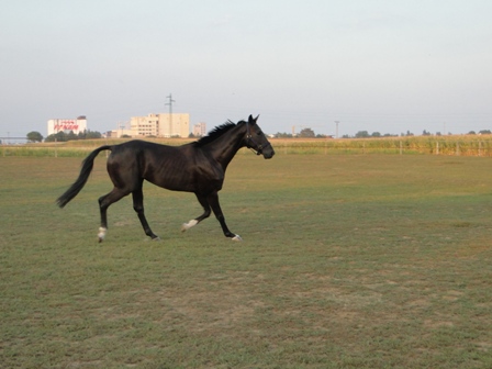 DSC01471.JPG