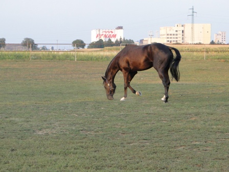 DSC01477.JPG