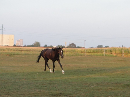 DSC01479.JPG