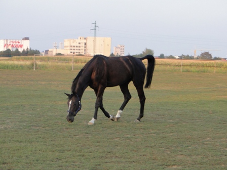 DSC01484.JPG