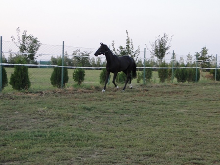 DSC01489.JPG