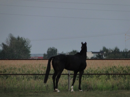 DSC01510.JPG
