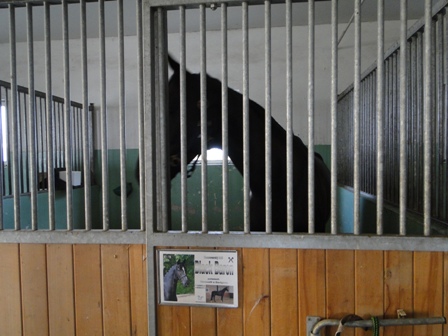 DSC01511.JPG