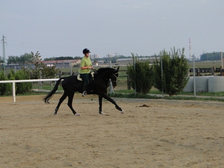DSC01691.JPG