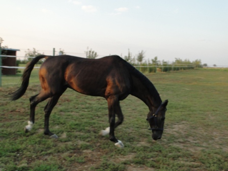 DSC01459.JPG